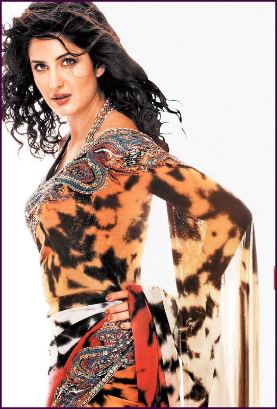 Katrina in an animal print saree - going Graaarrr
