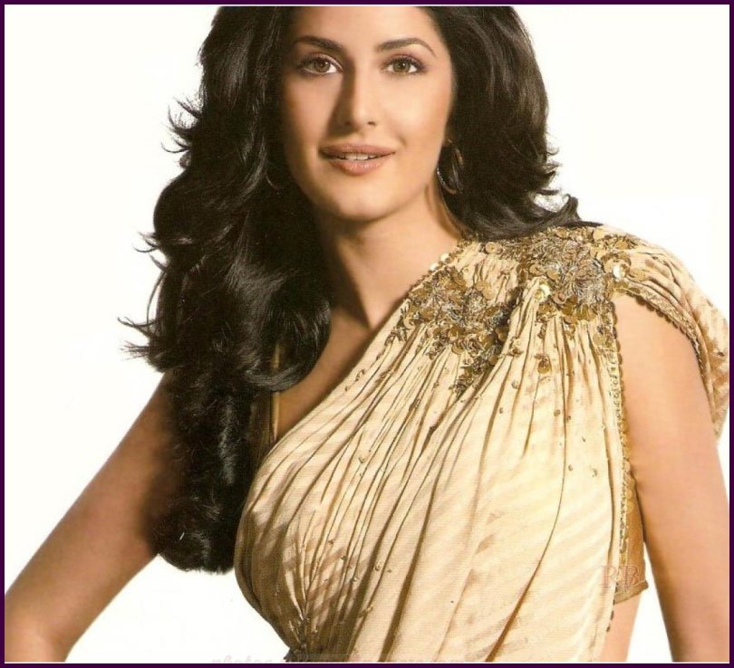 Katrina Kaif in a golden saree
